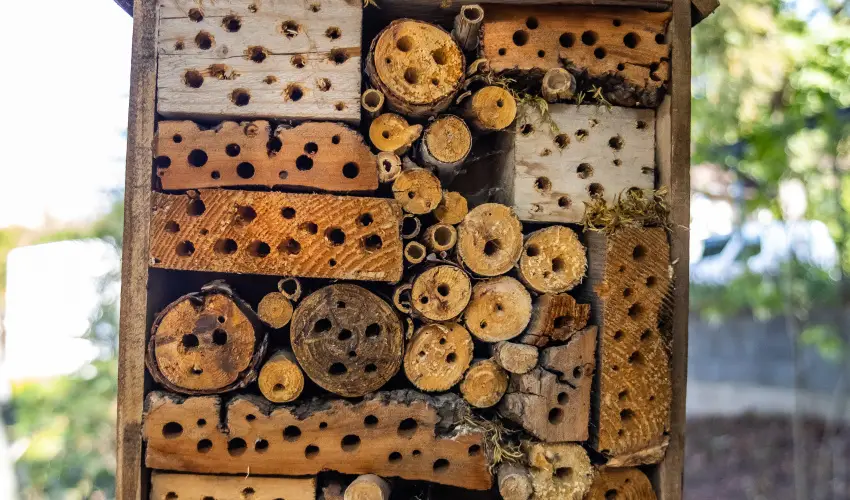 4 vszak Hegyihotel Mtrahza - Pnksd