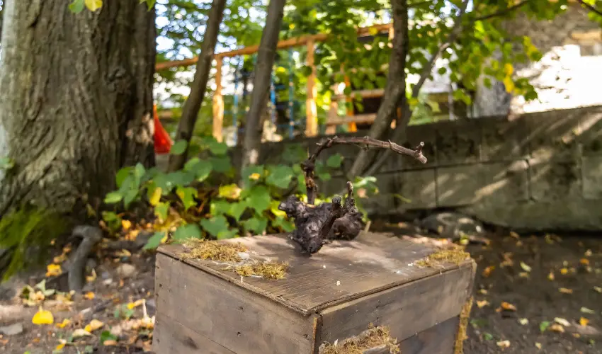 4 vszak Hegyihotel Mtrahza - Pnksd