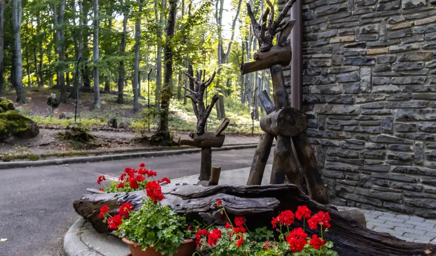 4 vszak Hegyihotel Mtrahza - Pnksd