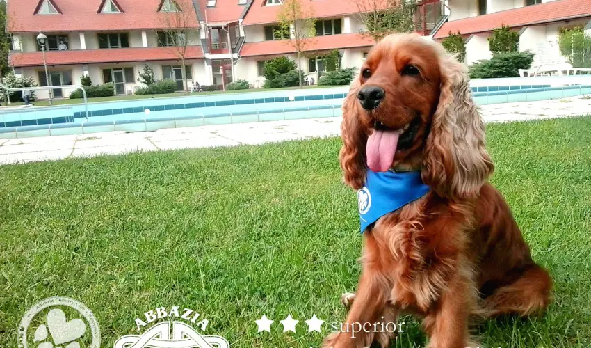 Abbzia Country Club Nemesnp - Pnksd - teljes elrefizetssel (min. 2 j)