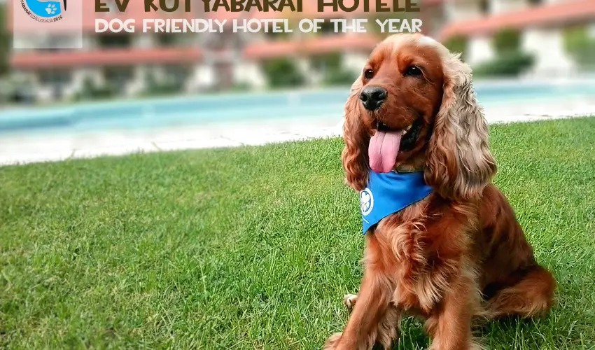 Abbzia Country Club Nemesnp - Pnksd - teljes elrefizetssel (min. 2 j)