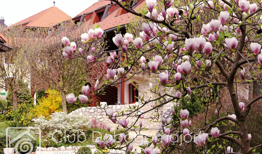 Club Dobogmajor Cserszegtomaj - Pnksd (min. 2 j)