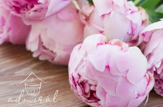 Admirl Villa Kehida - Pnksdi kirlysg (min. 2 j)