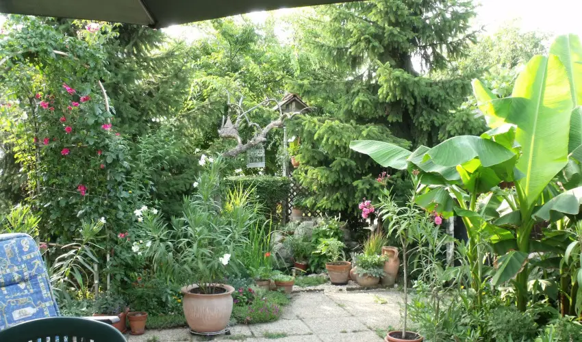 Agod Apartman Gyula - Pnksd (min. 3 j)