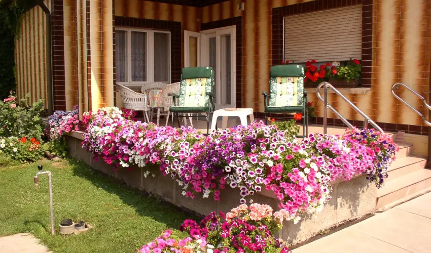 Am�lia Apartman Gyula - P�nk�sd (min. 2 �j)