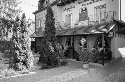 Ambr�zia Sz�ll�shely �s �tterem - P�nk�sd (min. 3 �j)