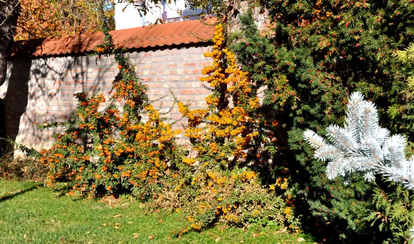 Ametiszt Hotel Harkny - Pnksd (min. 3 j)