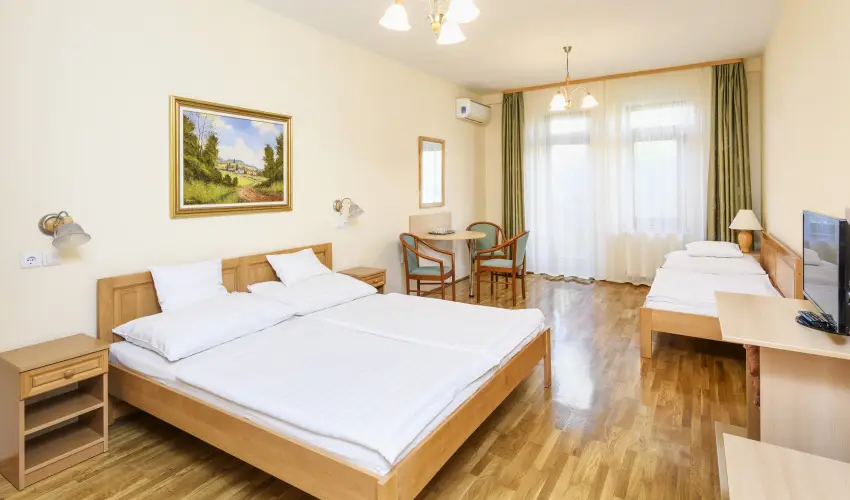 Ametiszt Hotel Hark�ny - P�nk�sd (min. 3 �j)
