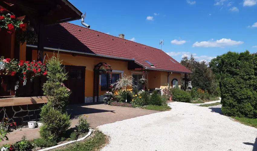 Andrea Vendghz Kehidakustny - Pnksd (min. 2 j)