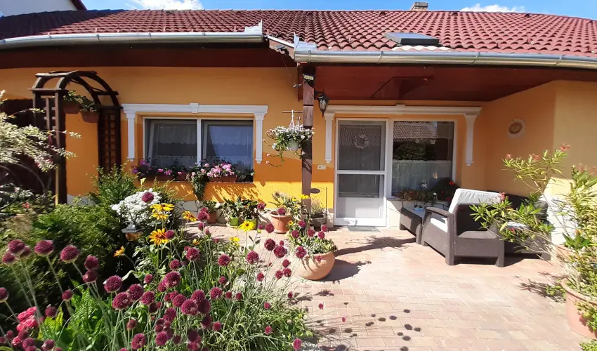 Andrea Vendghz Kehidakustny - Pnksd (min. 2 j)