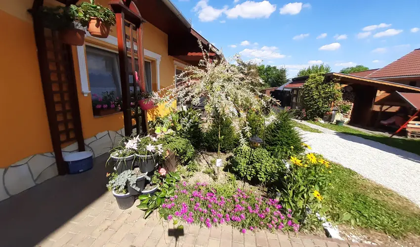 Andrea Vendghz Kehidakustny - Pnksd (min. 2 j)