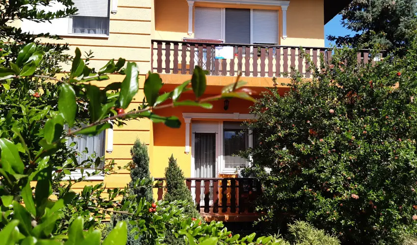 Andrea Vendghz Kehidakustny - Pnksd (min. 2 j)