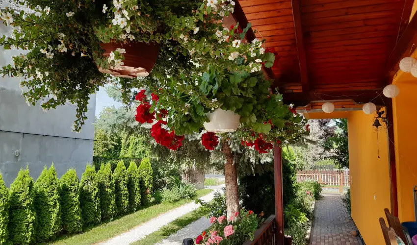 Andrea Vendghz Kehidakustny - Pnksd (min. 2 j)