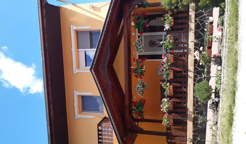 Andrea Vendghz Kehidakustny - Pnksd (min. 2 j)