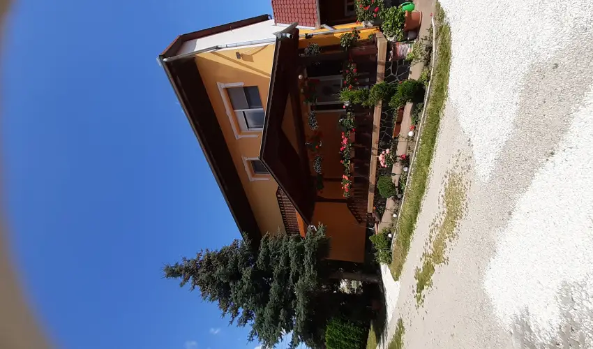 Andrea Vendghz Kehidakustny - Pnksd (min. 2 j)