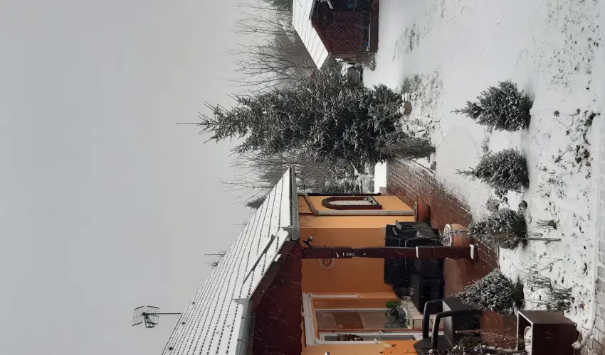 Andrea Vendghz Kehidakustny - Pnksd (min. 2 j)