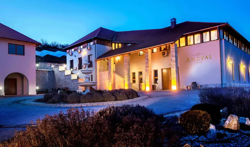 Angyal Bor�szat R�tka - P�nk�sd (min. 2 �j)