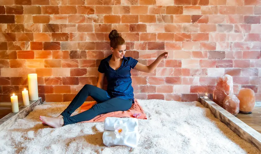 Apartman Hotel Bk, Bkfrd - Pnksd 