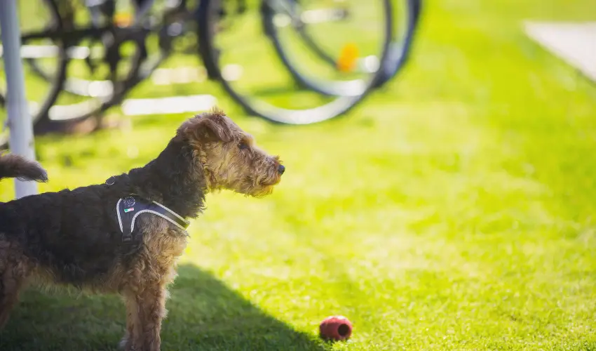 Apartman Szanyi Bk, Bkfrd - Pnksd (min. 2 j)