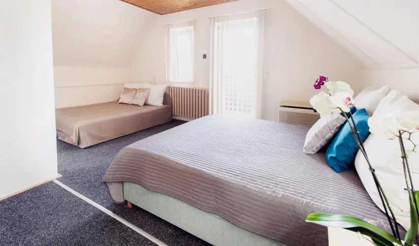 Apartman Szanyi Bk, Bkfrd - Pnksd (min. 2 j)