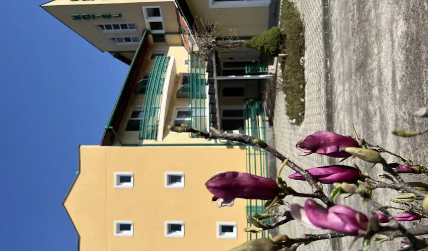 Aquatherm Hotel Zalakaros - Pnksd (min. 2 j)