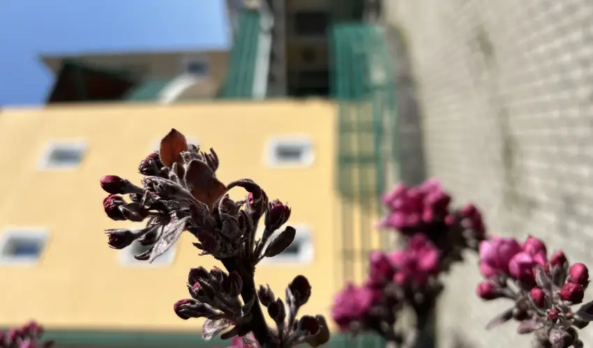 Aquatherm Hotel Zalakaros - Pnksd (min. 2 j)