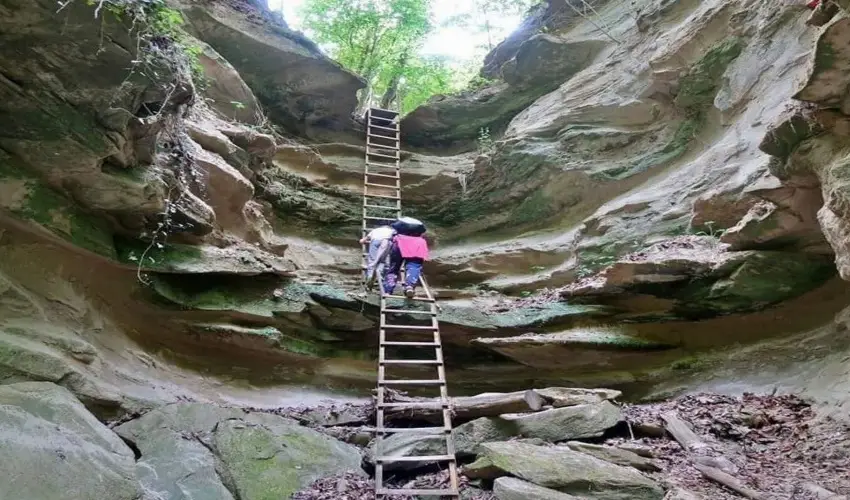 Arany Apartmanhz Zalagyngye  Zalakaros - Pnksd (min. 2 j)