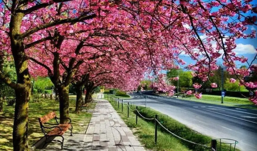 Arany Apartmanhz Zalagyngye  Zalakaros - Pnksd (min. 2 j)