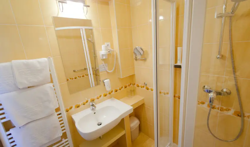 Aranyhomok Business & Wellness Hotel Kecskemt - Pnksd