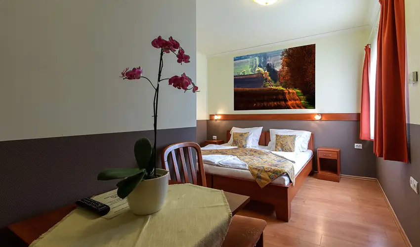 Aranypatk� Panzi� Gy�r�jbar�t - P�nk�sd