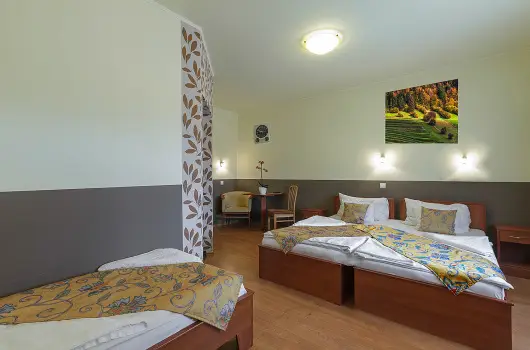 Aranypatk� Panzi� - P�nk�sd