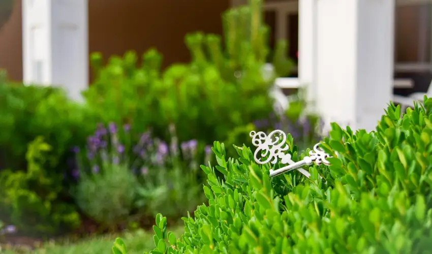 Arcanum Hotel Bkscsaba - Pnksd