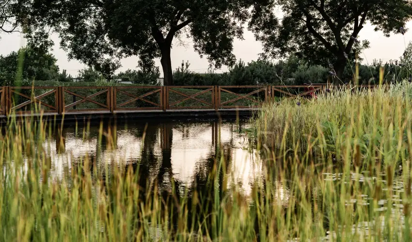 Arcanum Hotel Bkscsaba - Pnksd