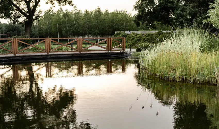 Arcanum Hotel Bkscsaba - Pnksd