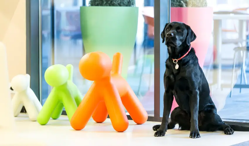 Art Hotel Szeged Szeged - Pnksd - specilis elrefizetssel