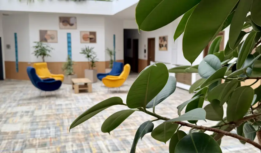 Art Hotel Zalakaros - P�nk�sd (min. 3 �j)