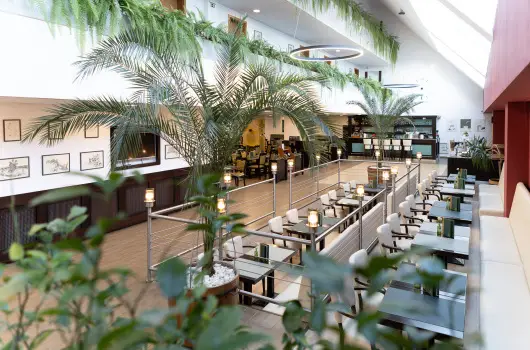 Art Hotel - P�nk�sd
