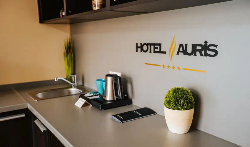 Auris Hotel Szeged Szeged - P�nk�sd