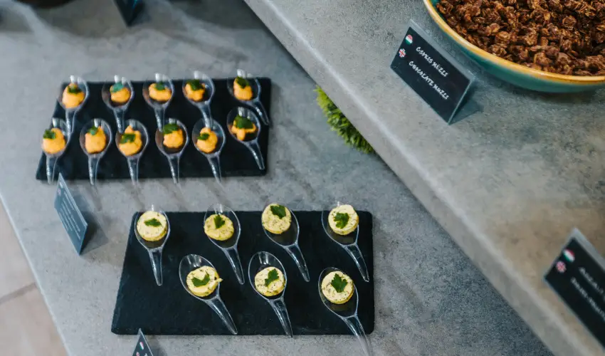 Auris Hotel Szeged Szeged - P�nk�sd