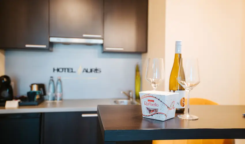 Auris Hotel Szeged Szeged - P�nk�sd