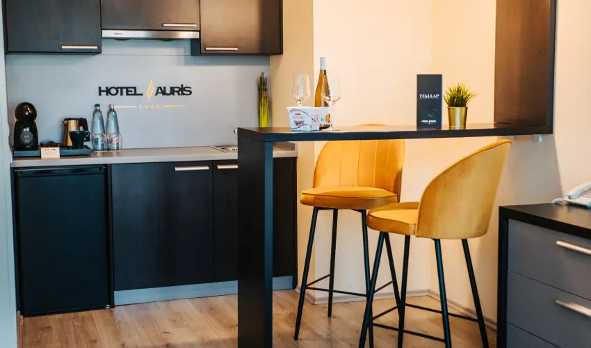 Auris Hotel Szeged Szeged - P�nk�sd