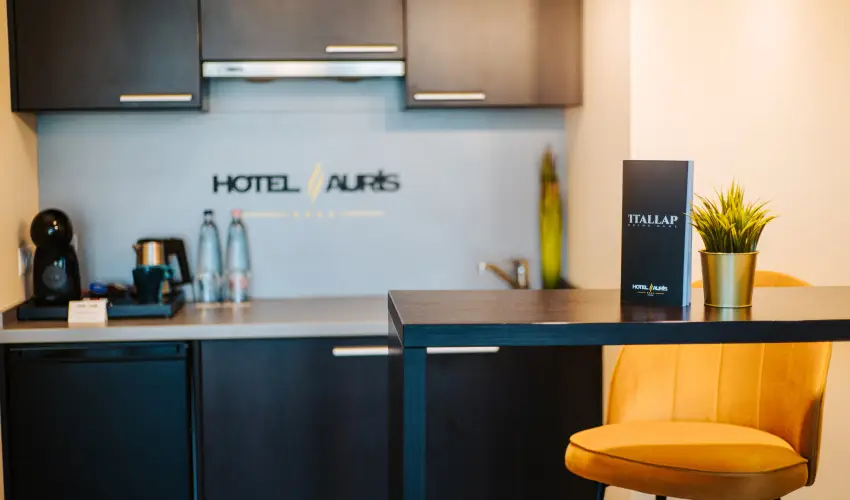 Auris Hotel Szeged Szeged - P�nk�sd