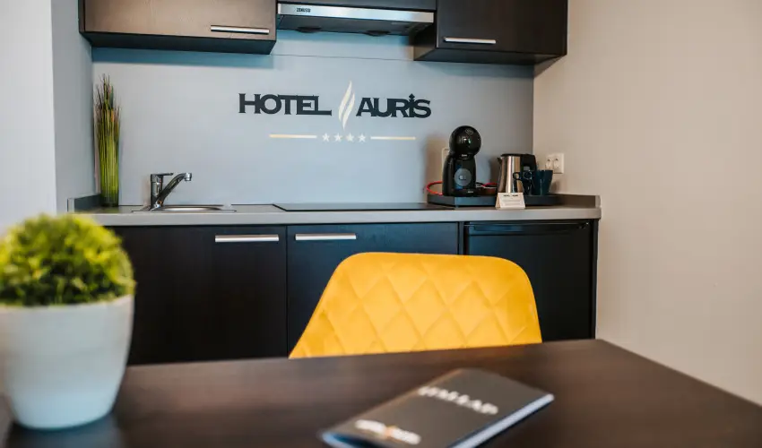 Auris Hotel Szeged Szeged - P�nk�sd