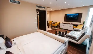 Auris Hotel Szeged Szeged