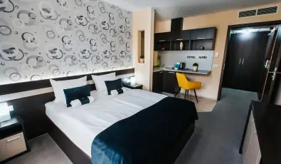 Auris Hotel Szeged Szeged