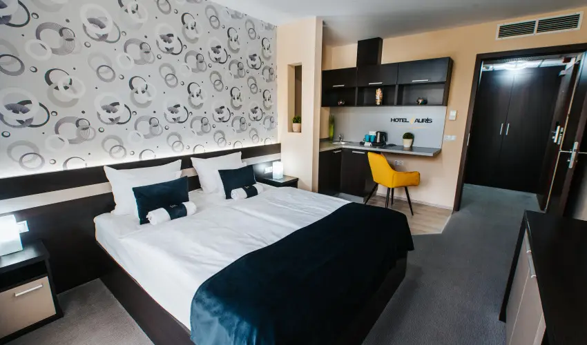 Auris Hotel Szeged Szeged - P�nk�sd