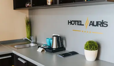 Auris Hotel Szeged Szeged