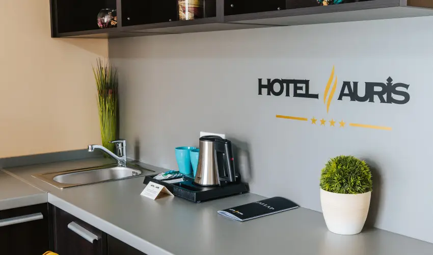 Auris Hotel Szeged Szeged - P�nk�sd