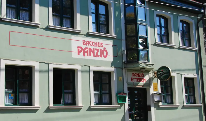 Bacchus Panzi Eger - Pnksd (min. 2 j)