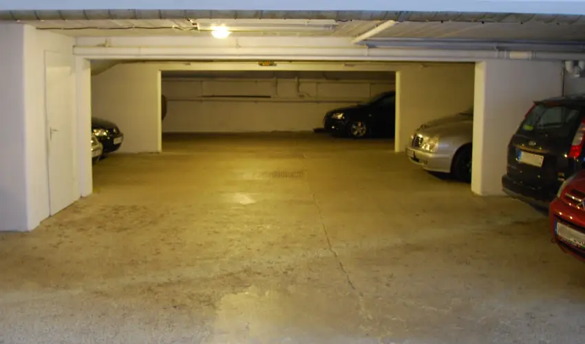 Bacchus Panzi Eger - Pnksd (min. 2 j)